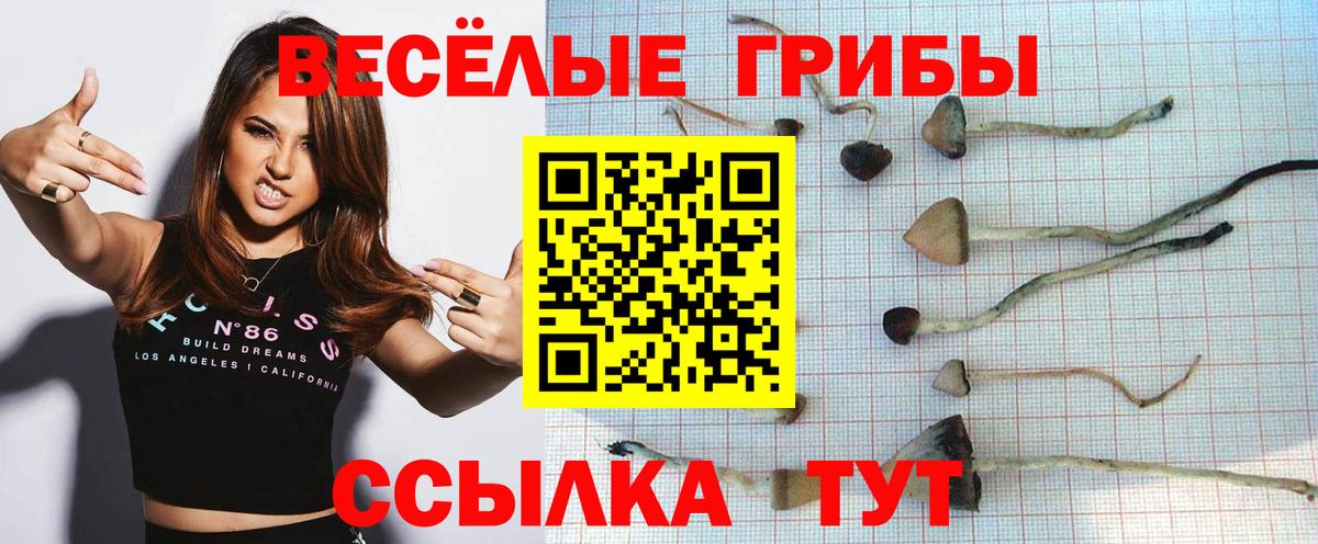 Псилоцибиновые грибы ЛСД  Вход с VPN  Приморско-Ахтарск 